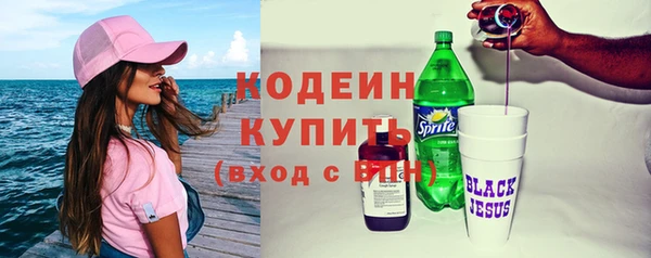 индика Касимов