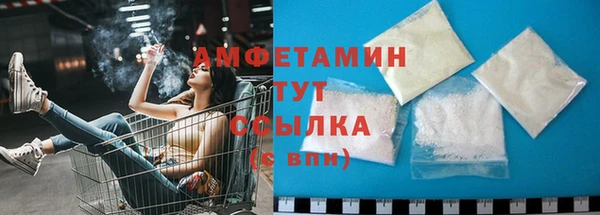 индика Касимов