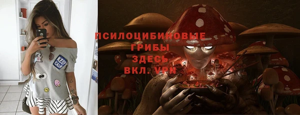 марки lsd Карпинск