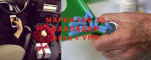 индика Касимов