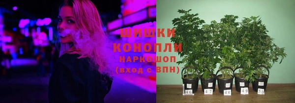 индика Касимов