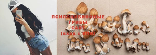 индика Касимов