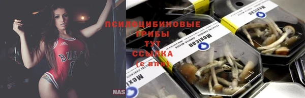 индика Касимов