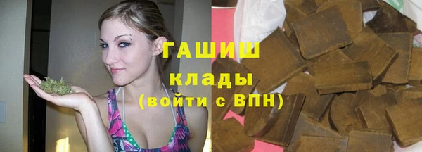 индика Касимов