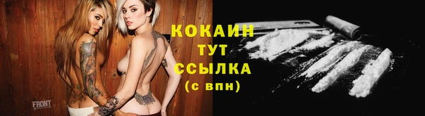 индика Касимов