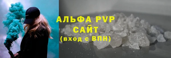 индика Касимов