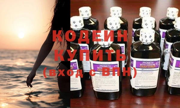 индика Касимов