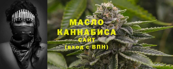индика Касимов