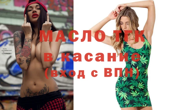 индика Касимов