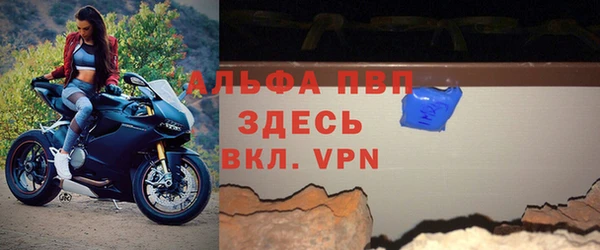 индика Касимов