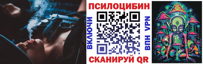 Псилоцибиновые грибы Psilocybe Купить Пролетарск